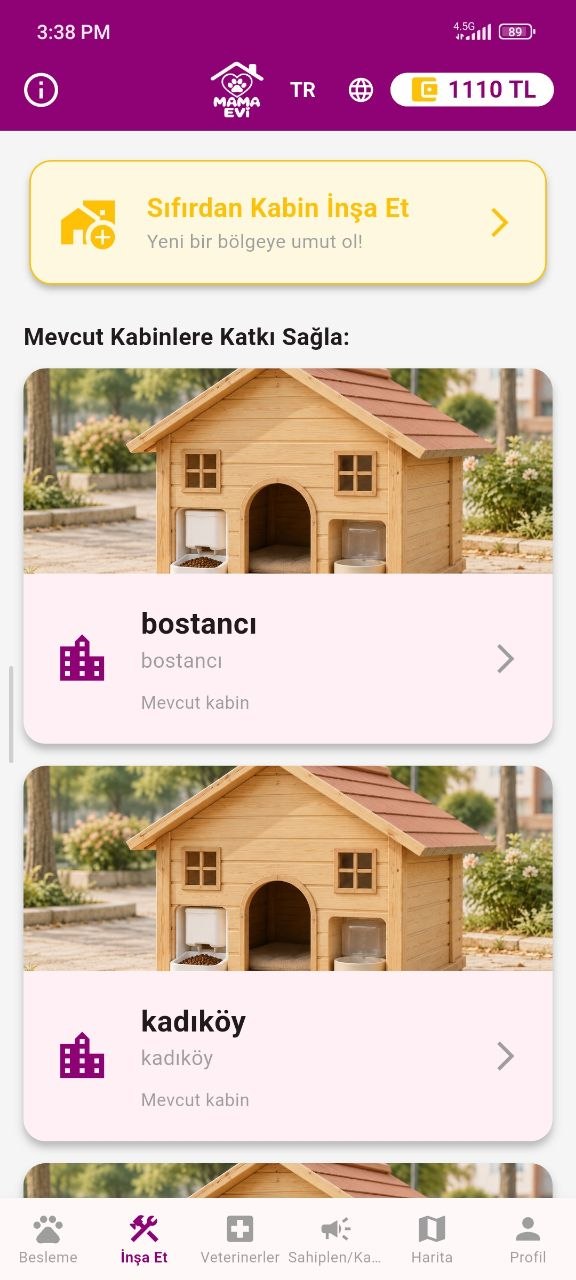 Mama Evi kabin katkı ve inşa ekranı