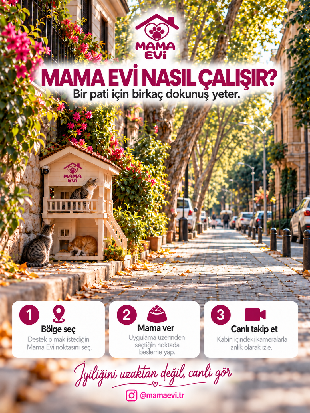 Mama Evi nasıl çalışır tanıtım görseli